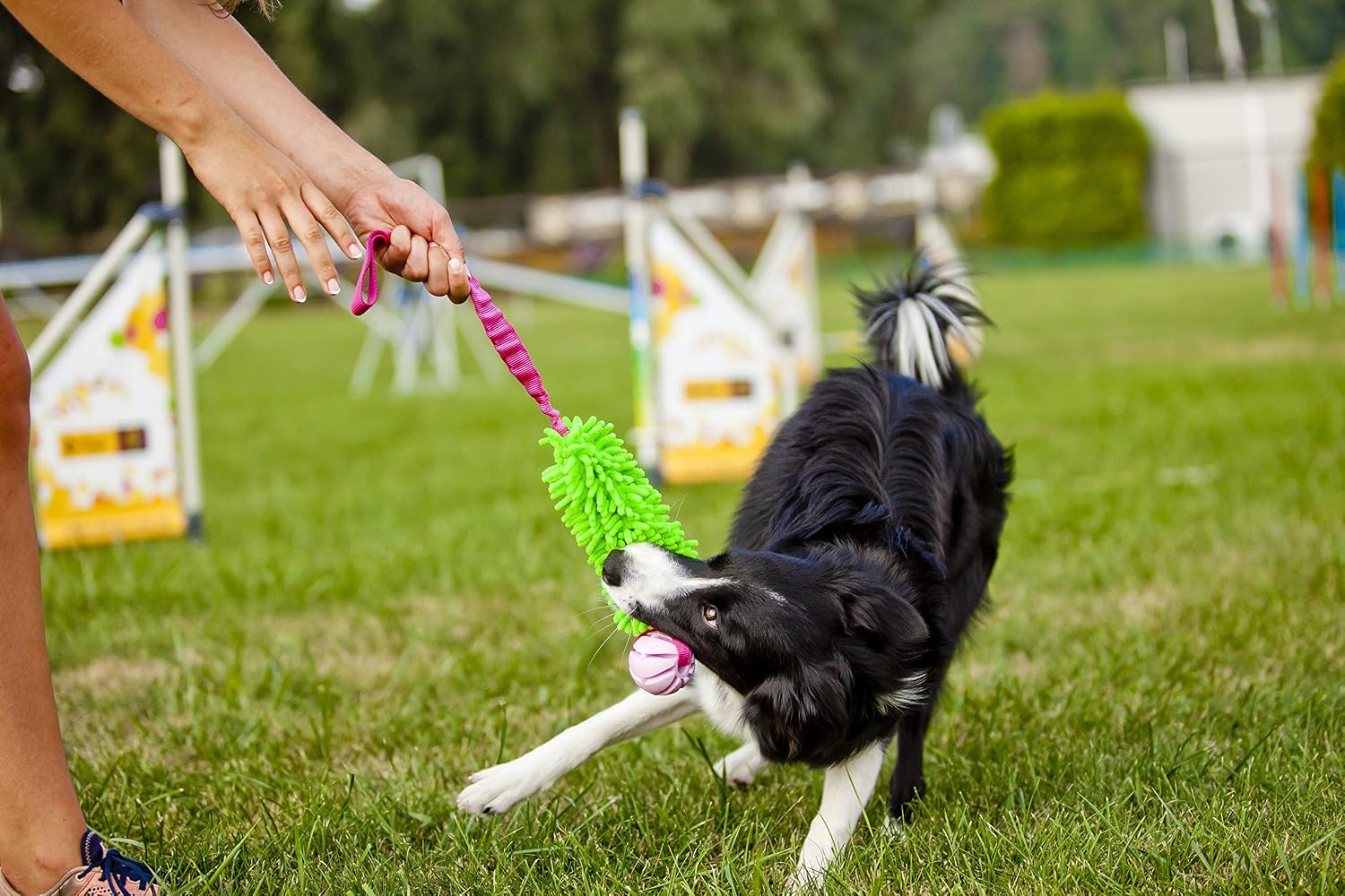 Dingo Mop Bungee Hundespielzeug Gruen Mikrofaser Vanille Duft Tauzieh Ball