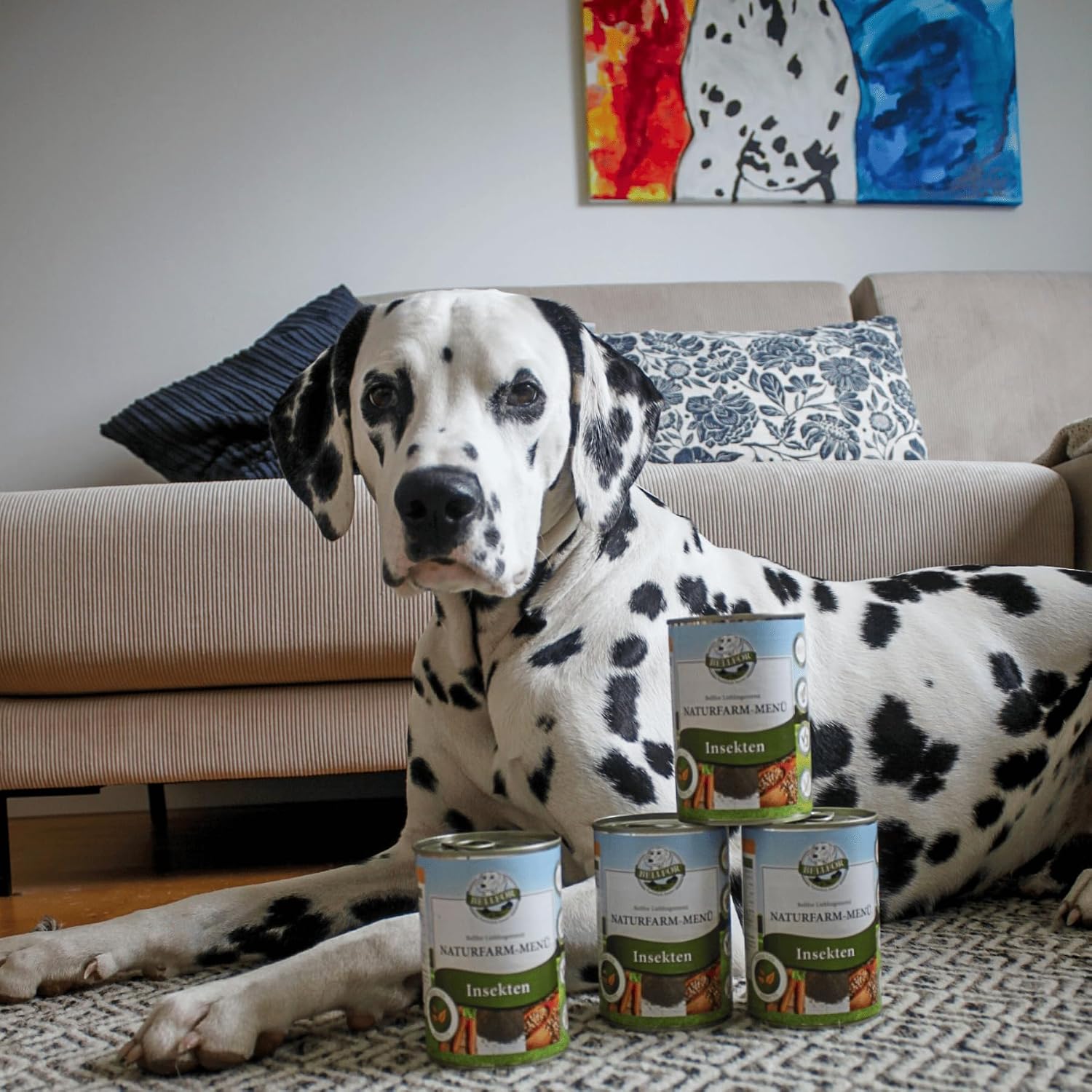 Bellfor Hundenassfutter getreidefrei mit Insektenprotein Naturfarm-Menue -800