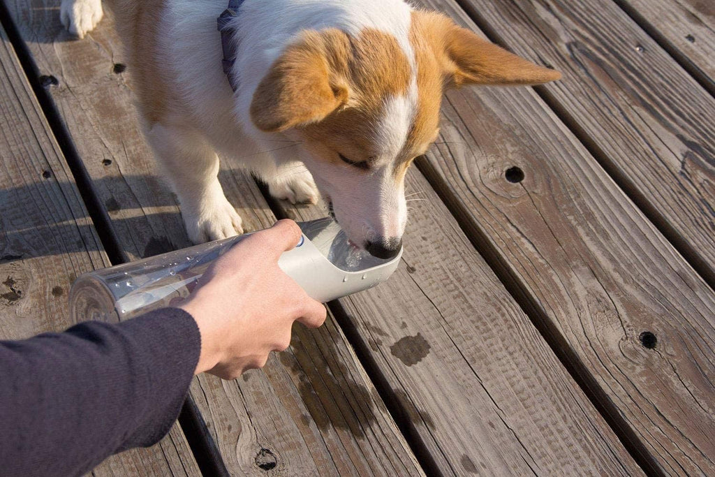 PETKIT Eversweet 400 ml tragbare Trinkflasche fuer Hunde und Haustiere, BPA frei