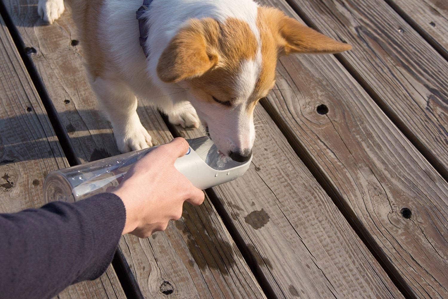 PETKIT Eversweet 400 ml tragbare Trinkflasche fuer Hunde und Haustiere, BPA frei