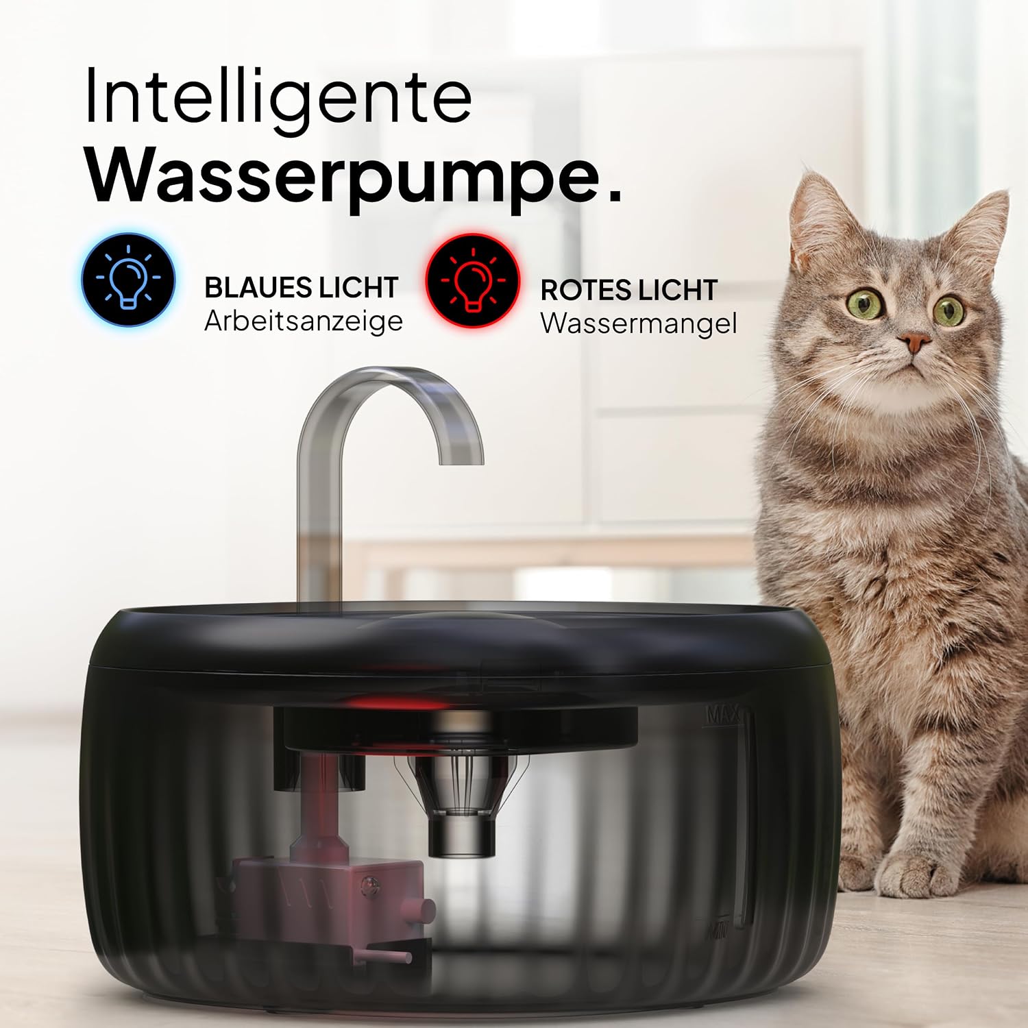 PrettyPaw Katzenbrunnen 3L leise BPA-frei mit LED und Aktivkohlefilter Schwarz