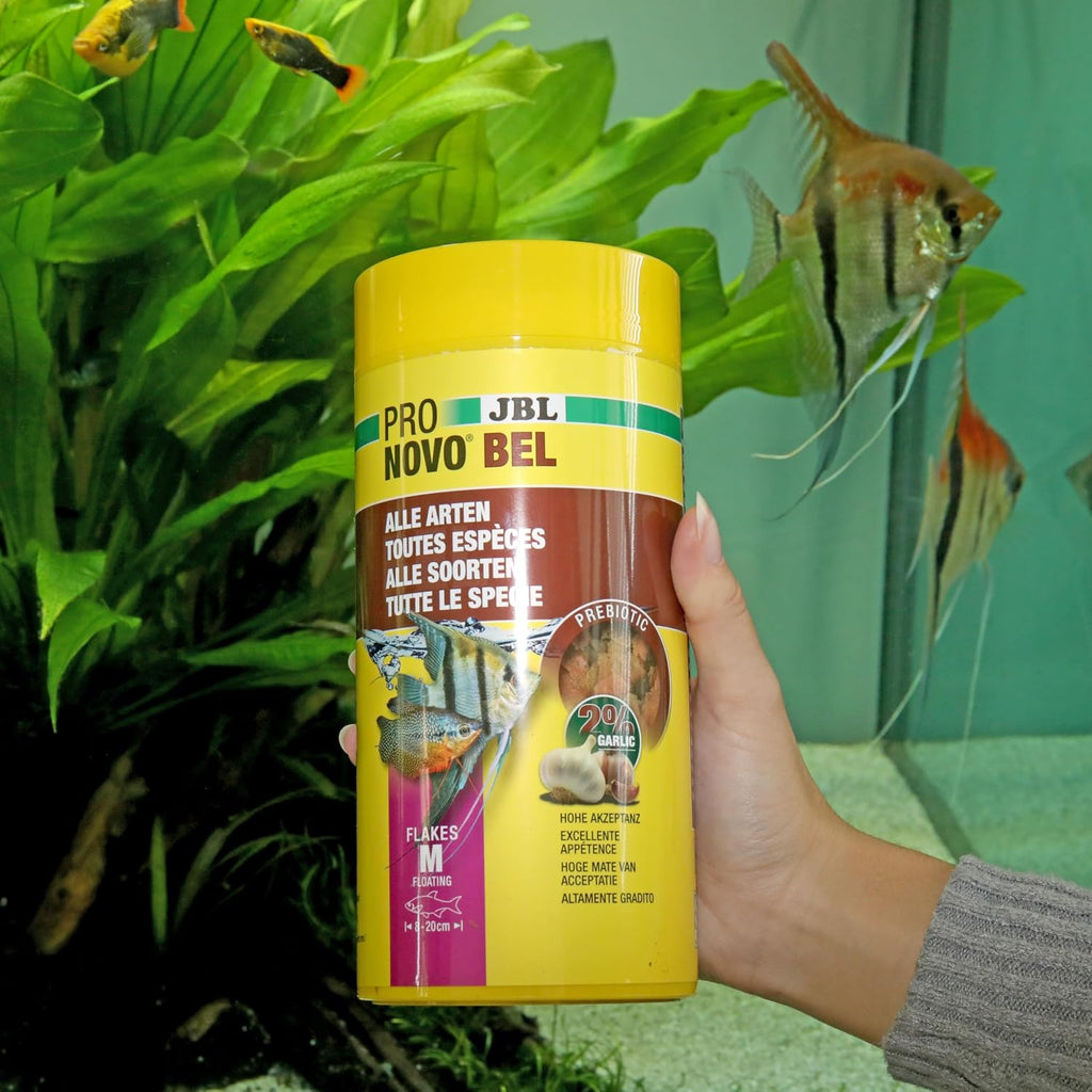 JBL ProNovo Bel Flakes Flockenfutter für Aquarienfische 8–20 cm 1 l