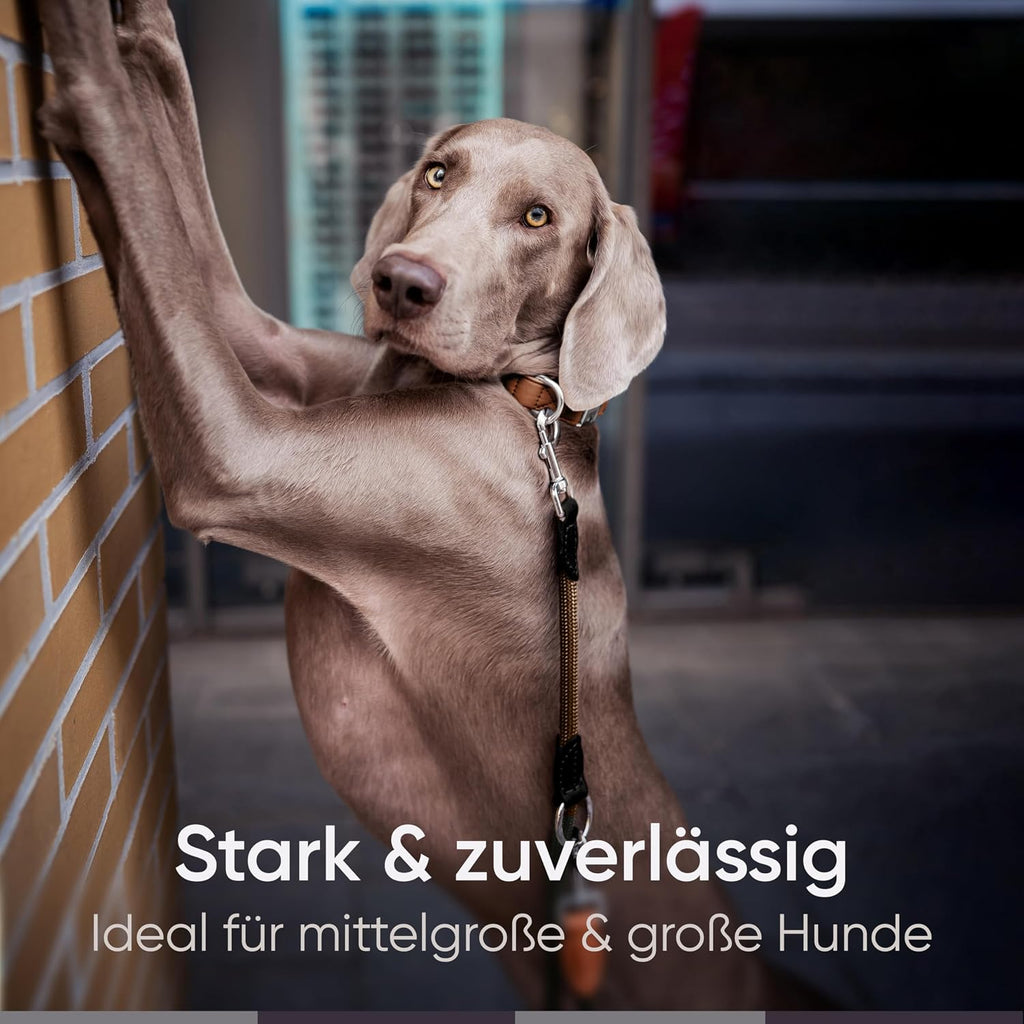 Freudentier verstellbare Hundeleine Nylon mit Lederoptik Schwarz 2m-3m