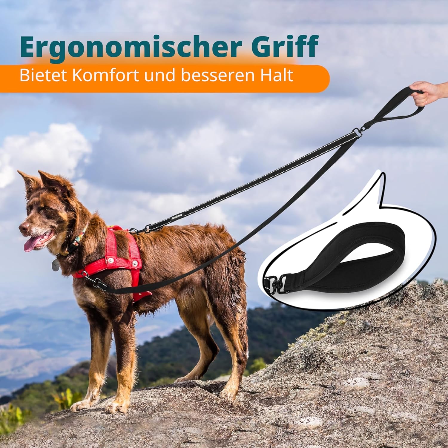 PetBonus Hundeleine Anti-Zieh doppelt reflektierend Schwarz Groesse Gross/Mittel
