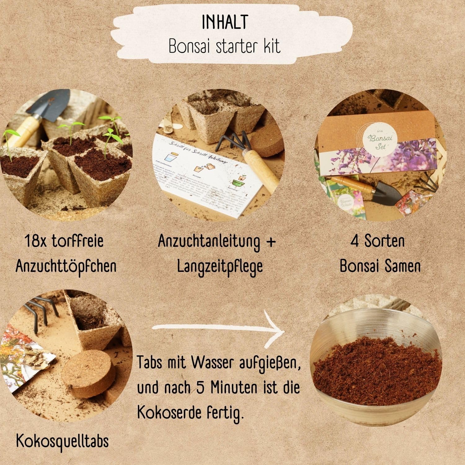 Bonsai Starter Kit mit 4 Samen Anzuchtset plastikfrei nachhaltig Geschenk