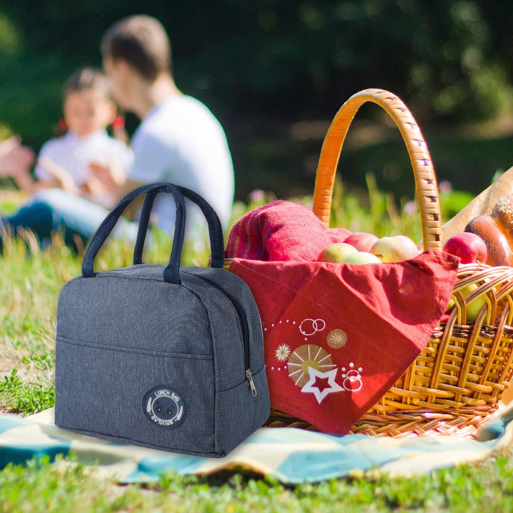 Hemiks Kuehltasche klein faltbar Isolierte Lunchtasche fuer Schule Buero