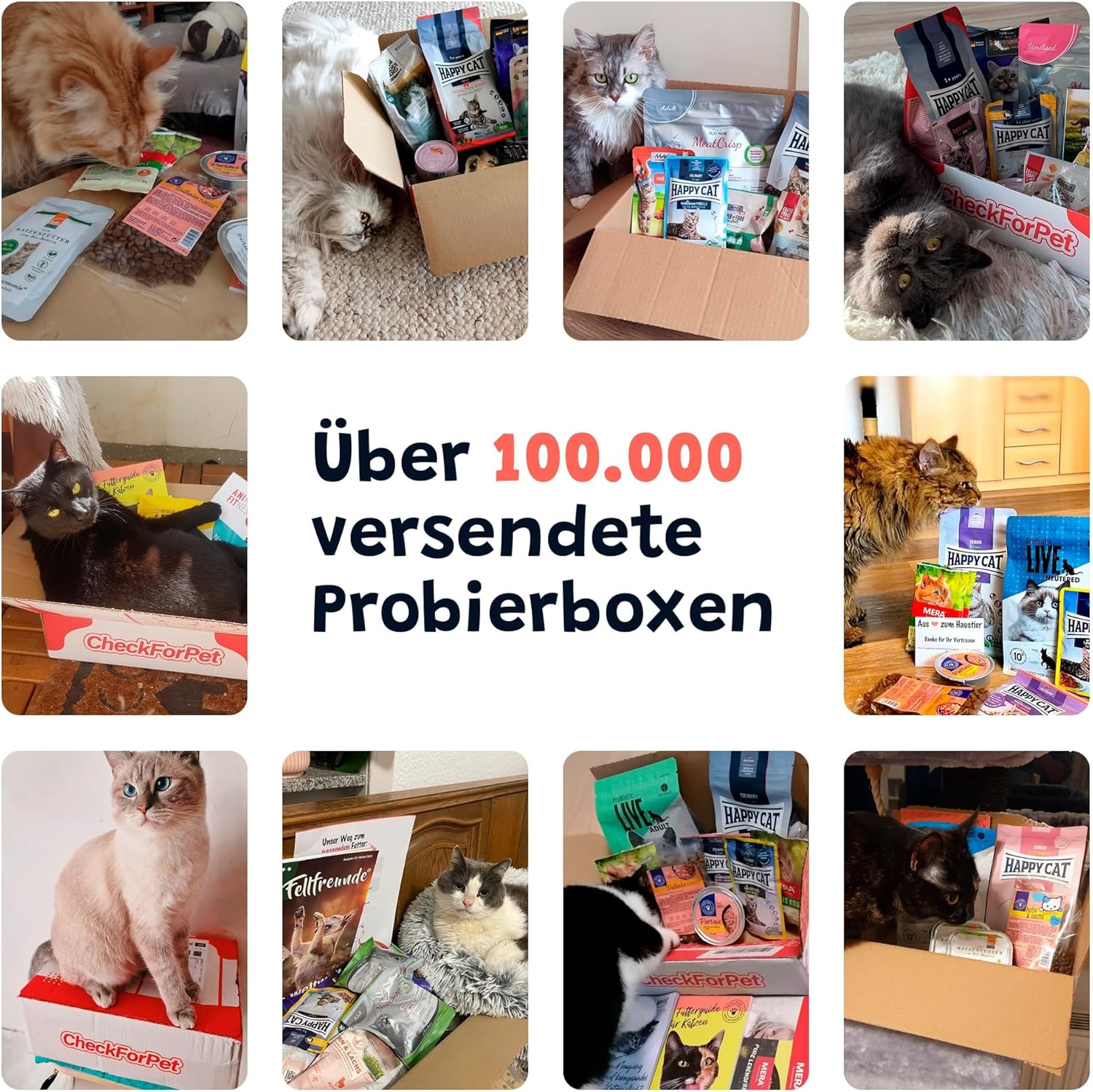 Katzenfutter Probierpaket Senior Nass und Trockenfutter fuer aeltere Katzen