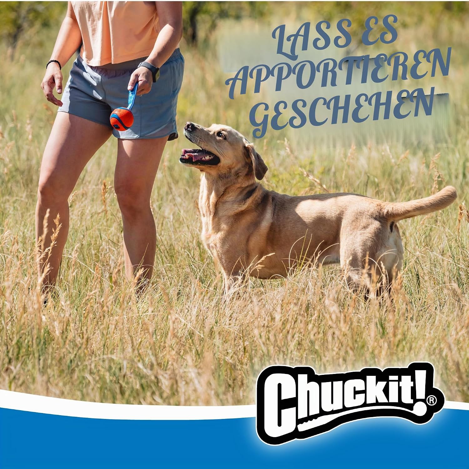 Chuckit! Ultra Tug Hundespielzeug Ball mit Zugseil Medium