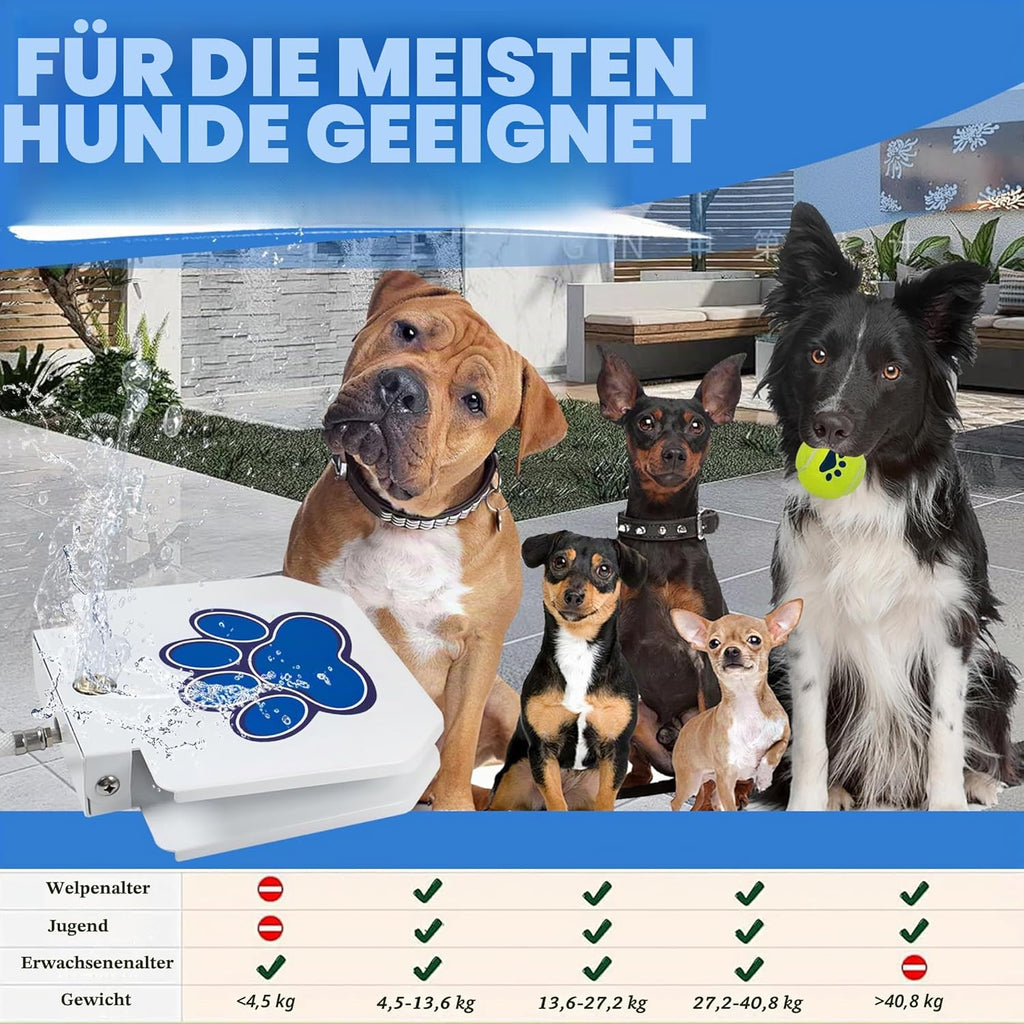 BACOENG Hundetrinkbrunnen Outdoor Gartenbrunnen mit verbessertem Messing-Ventil
