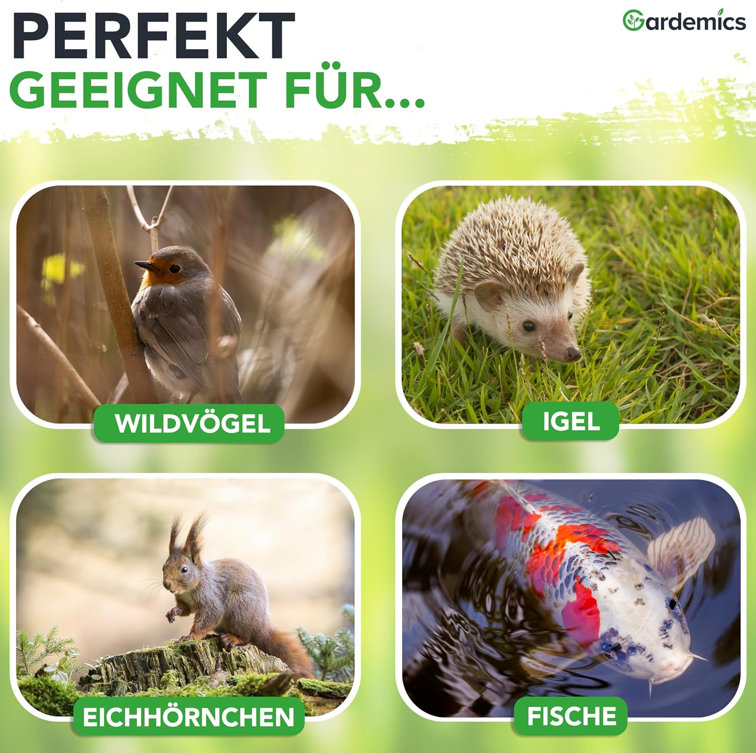 Gardemics Mehlwuermer getrocknet Insektenfutter fuer Voegel Fische Reptili