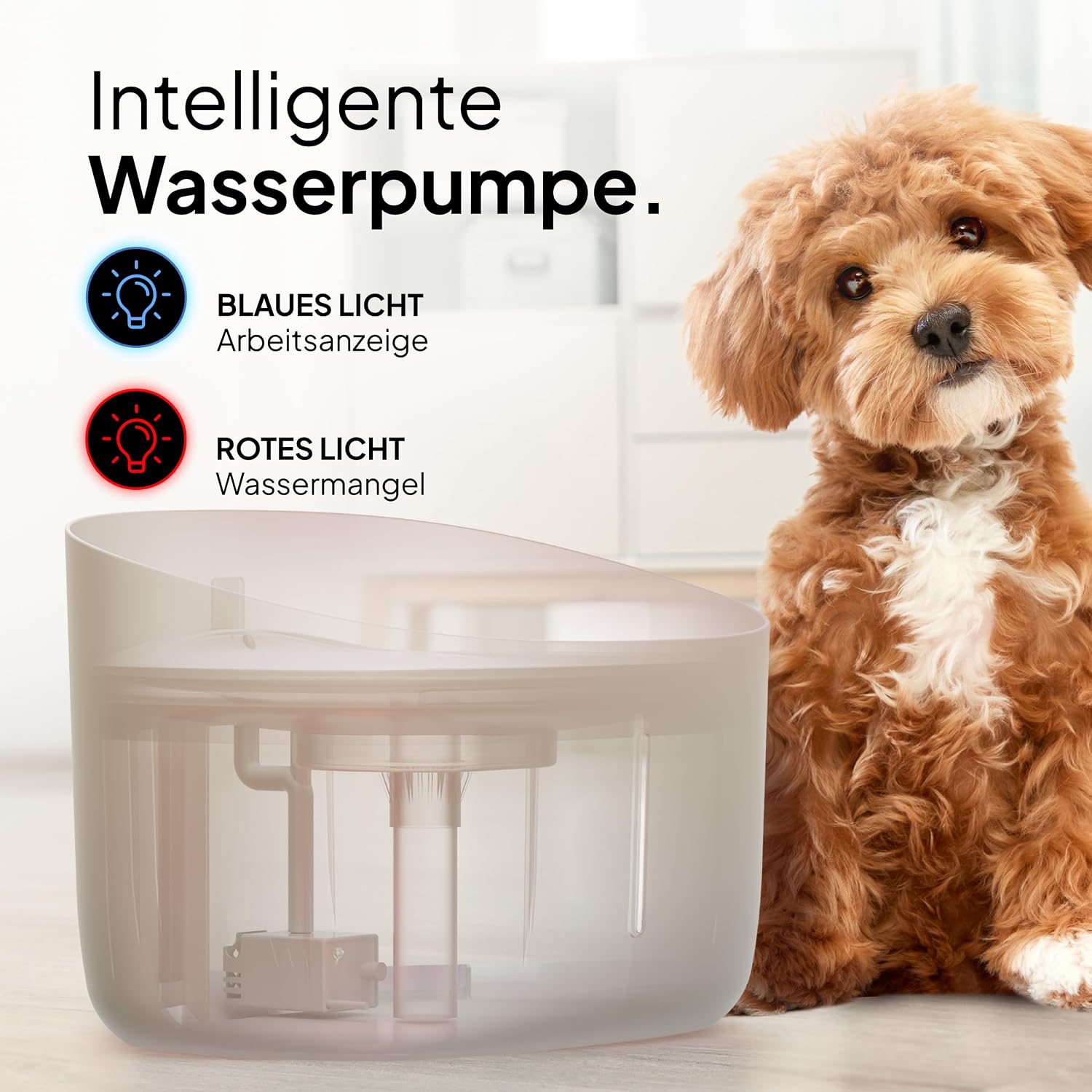 Pretty Paw Trinkbrunnen fuer Hunde leise BPA-frei mit Filter & LED