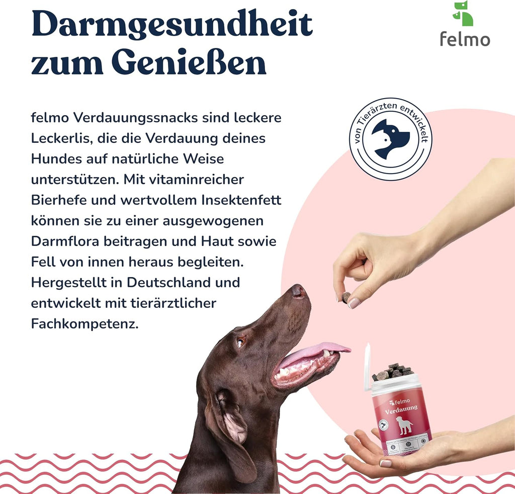 Verdauungs-Snacks fuer Hunde mit Bierhefe Insekten Vollfett getreidefre