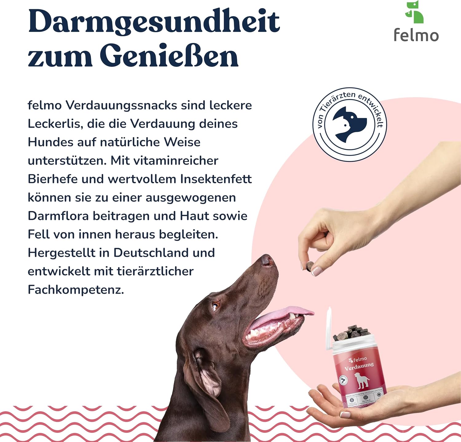 Verdauungs-Snacks fuer Hunde mit Bierhefe Insekten Vollfett getreidefre
