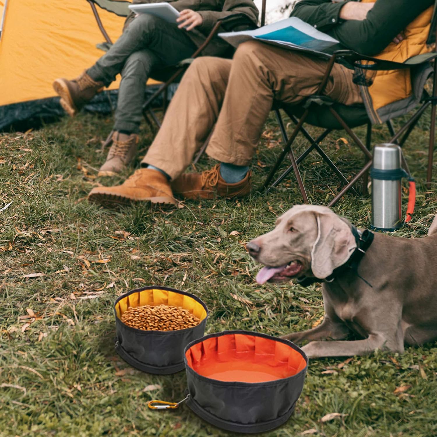 LumoLeaf Reisenapf Hund faltbar + Trink- und Futternapf Set