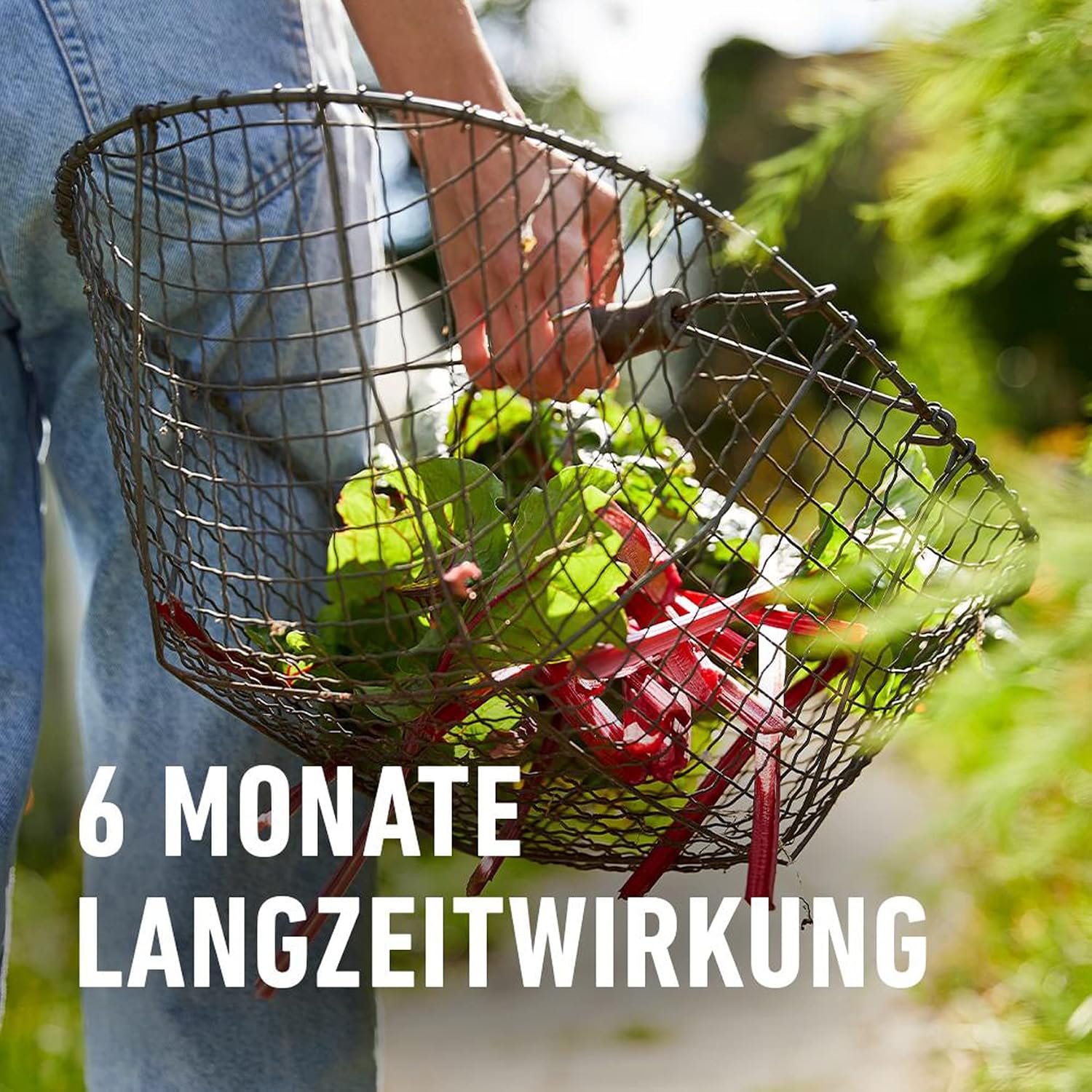 Garten Langzeit-Duenger COMPO verschiedene Sorten fuer Pflanzenpflege