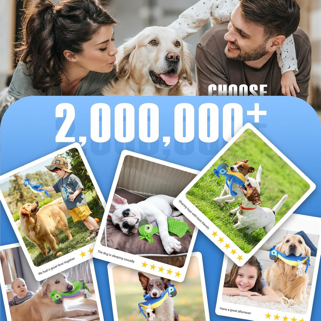 ROSAUI Hundespielzeug Pluesch mit Quietscher und Knisterpapier fuer Welpen