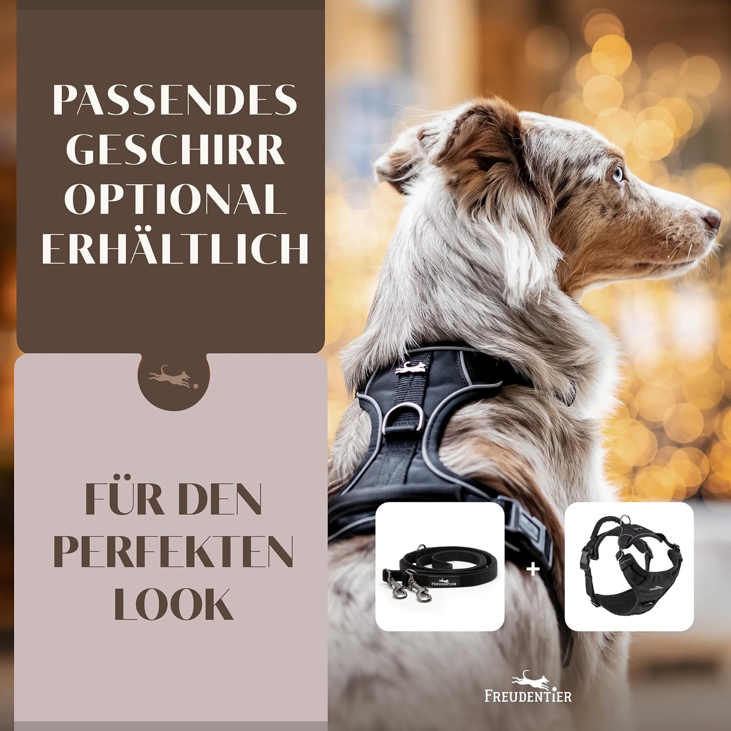 Freudentier Hundeleine Clyde 20 mm braun gepolstert verstellbar 2m