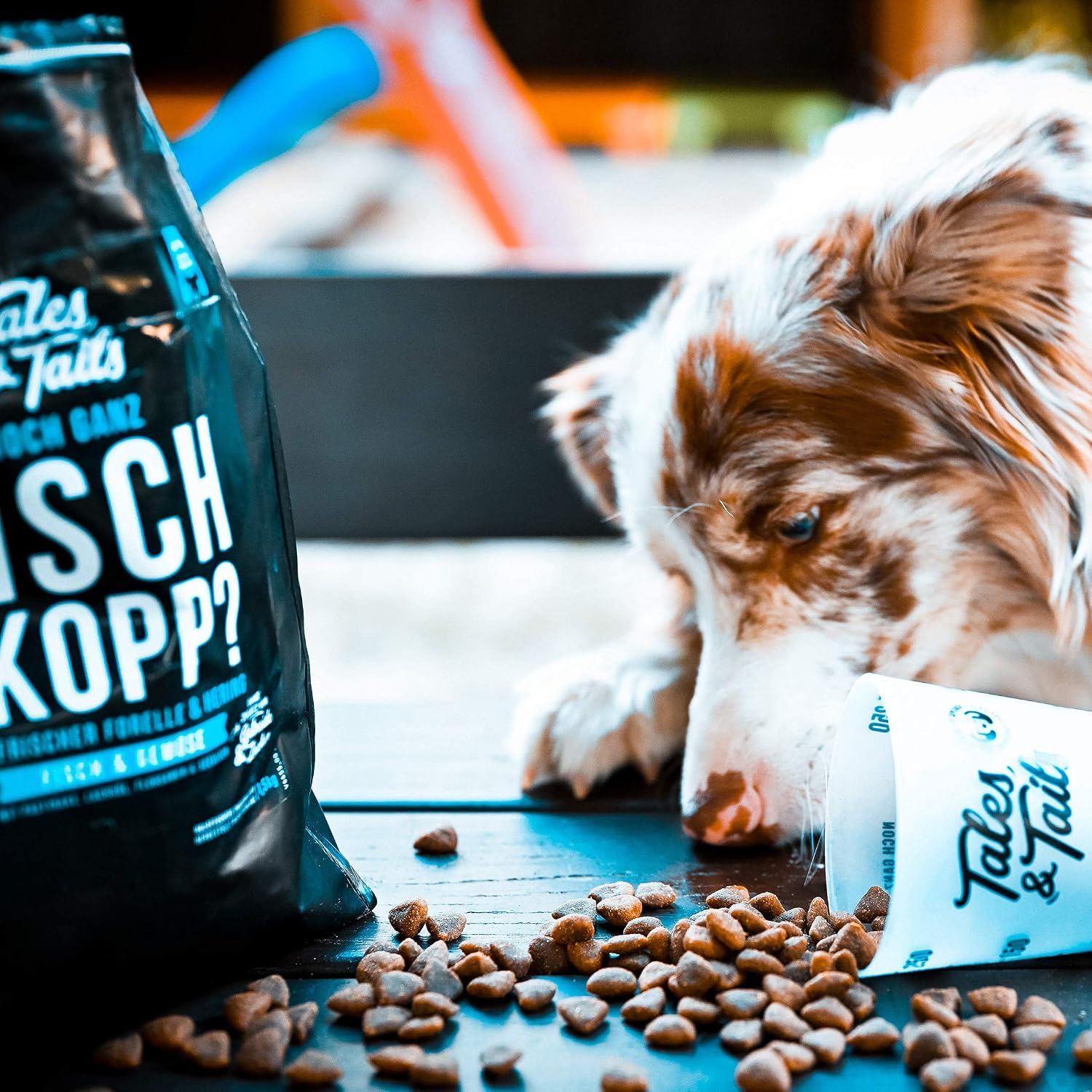 Tales & Tails halbfeuchtes Hundefutter getreidefrei Pferd verschiedene So
