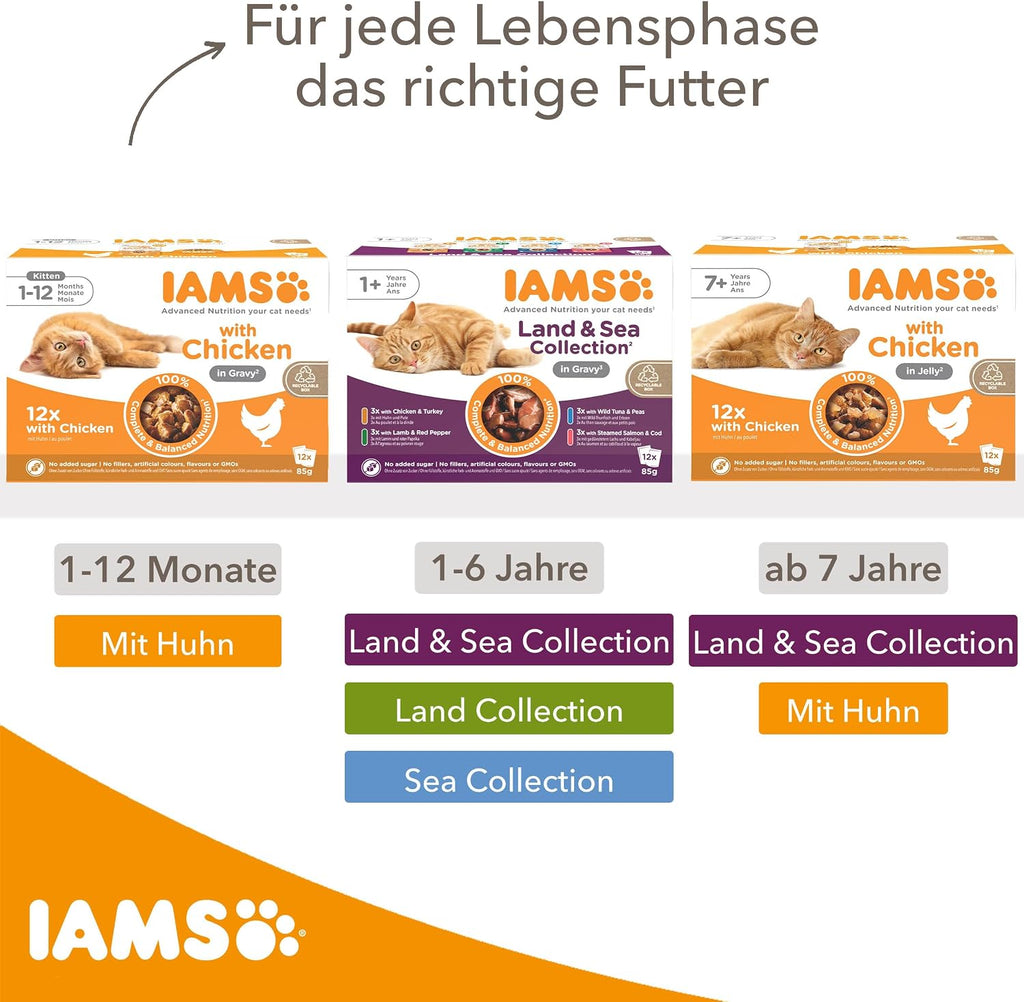 IAMS Delights Kitten Nassfutter 24x85g Huhn in Sauce Katzenfutter Monate