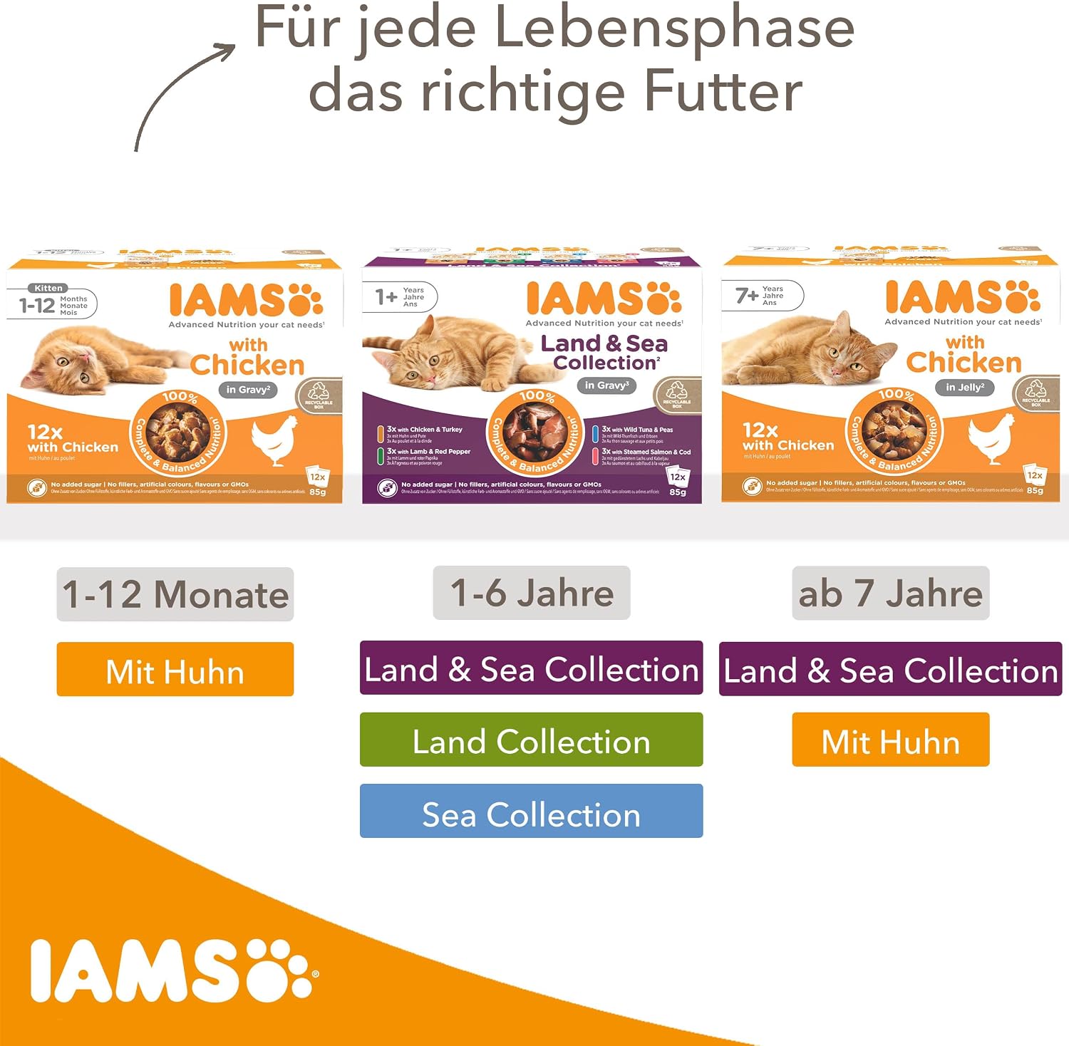 IAMS Delights Kitten Nassfutter 24x85g Huhn in Sauce Katzenfutter Monate