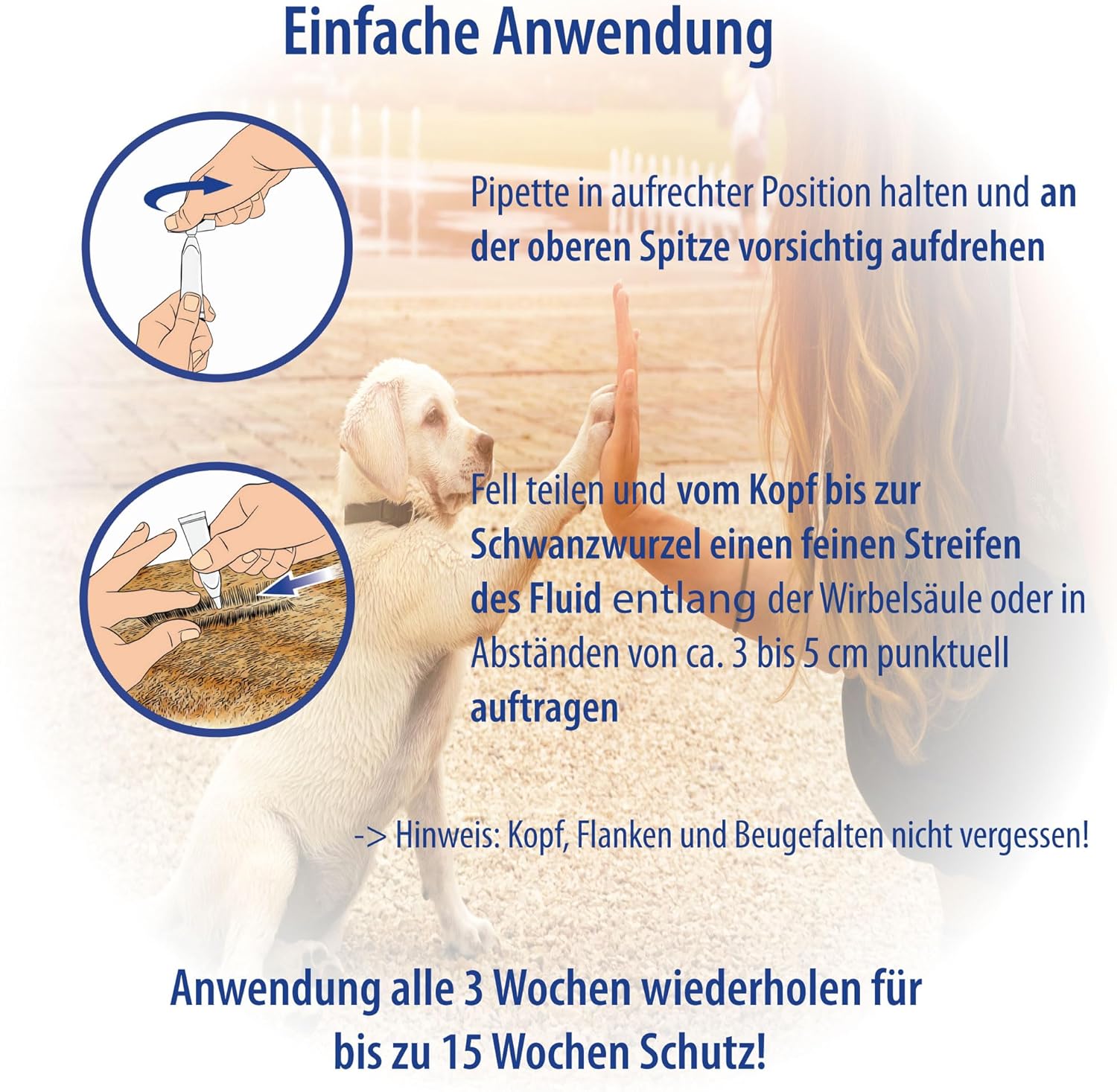 Spot on Hund pflanzenbasiertes Zeckenmittel bis 15 Wochen Schutz ohne Chemie