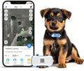 GPS Tracker fuer Hunde 4G wasserdicht mit Echtzeit-Ortung und App Live Tracking