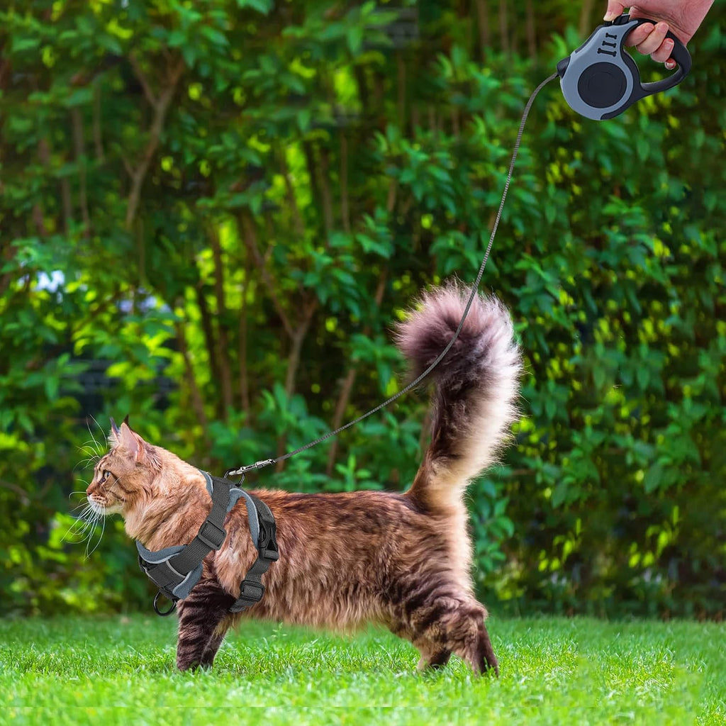 Katzengeschirr verstellbar S-M mit einziehbarer Leine rosa