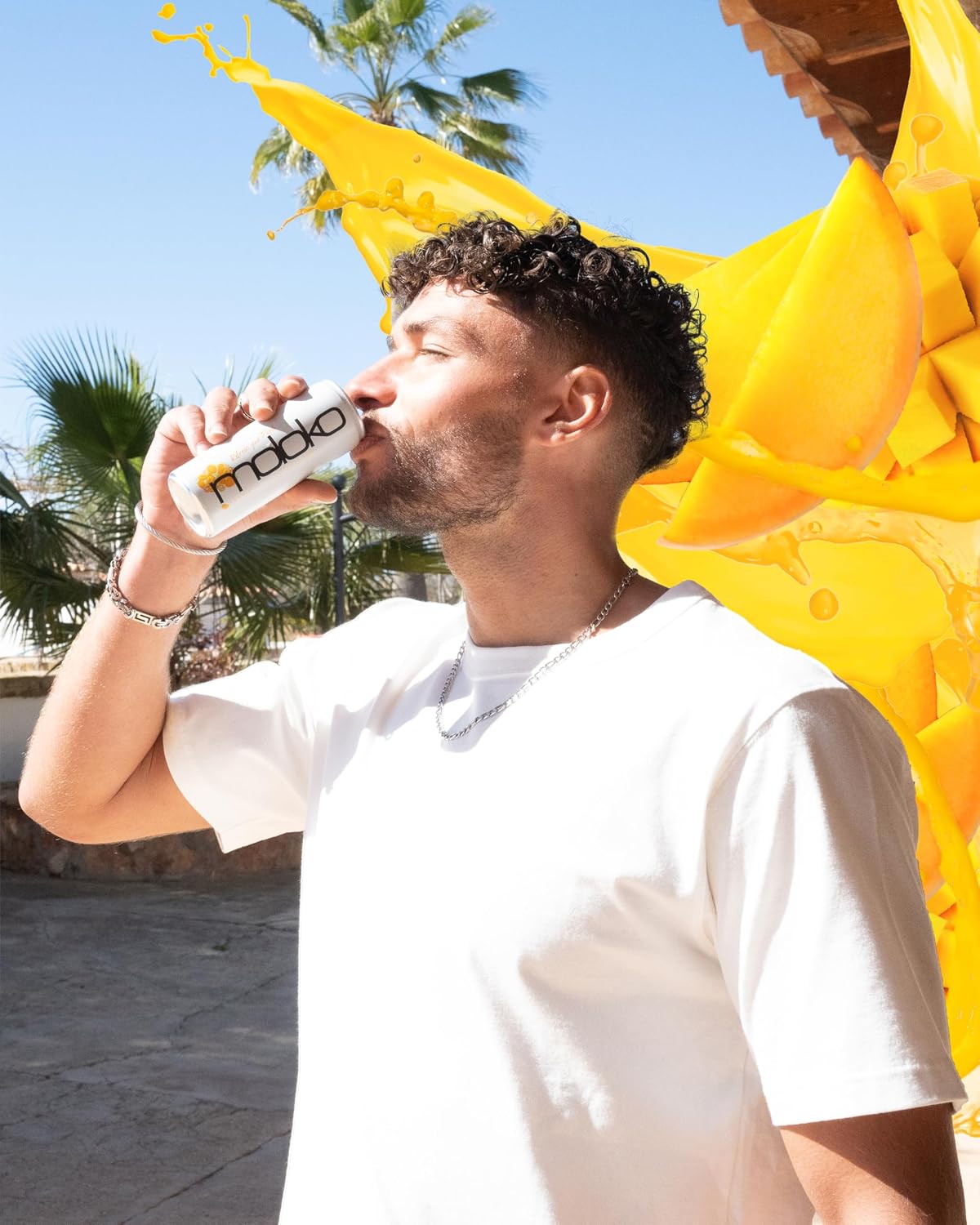 Moloko Mango Kalamansi Getraenk 24 x 250 ml Dose Erfrischungsgetraenk