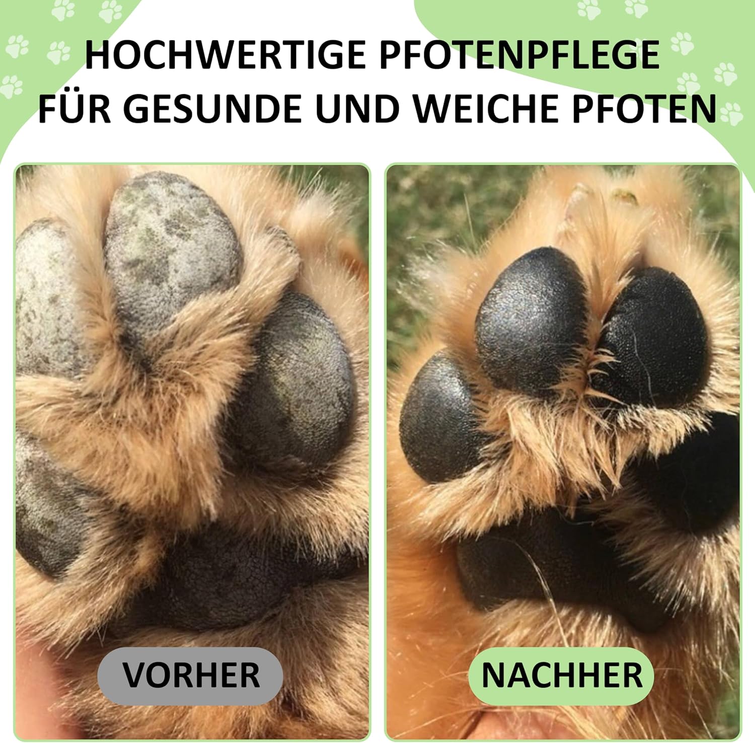 Golden Pets Pfotenbalsam Stick mit Propolis und Avocado - Nasenschutz