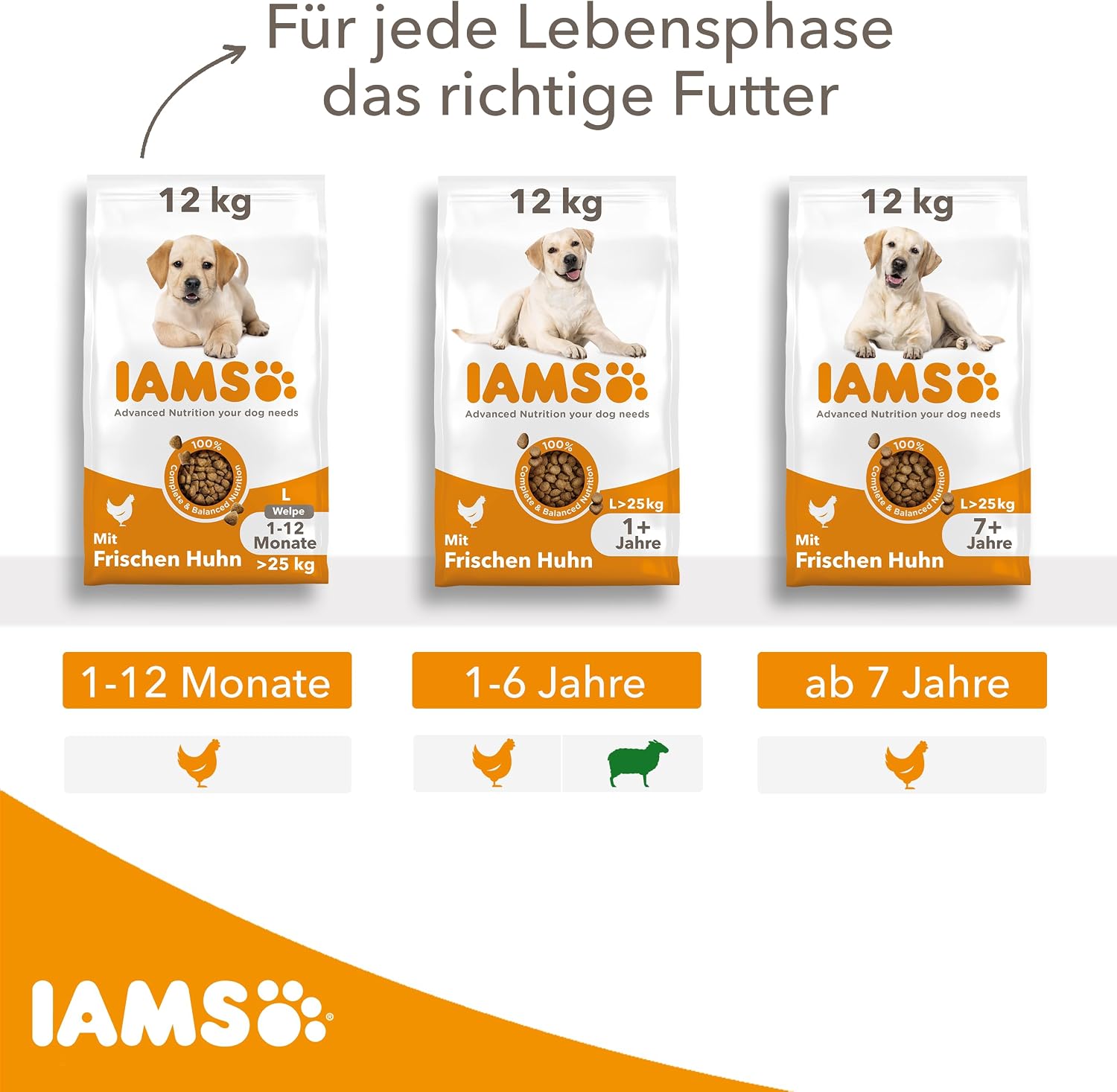 Welpenfutter Trockenfutter Huhn fuer kleine und mittlere Rassen