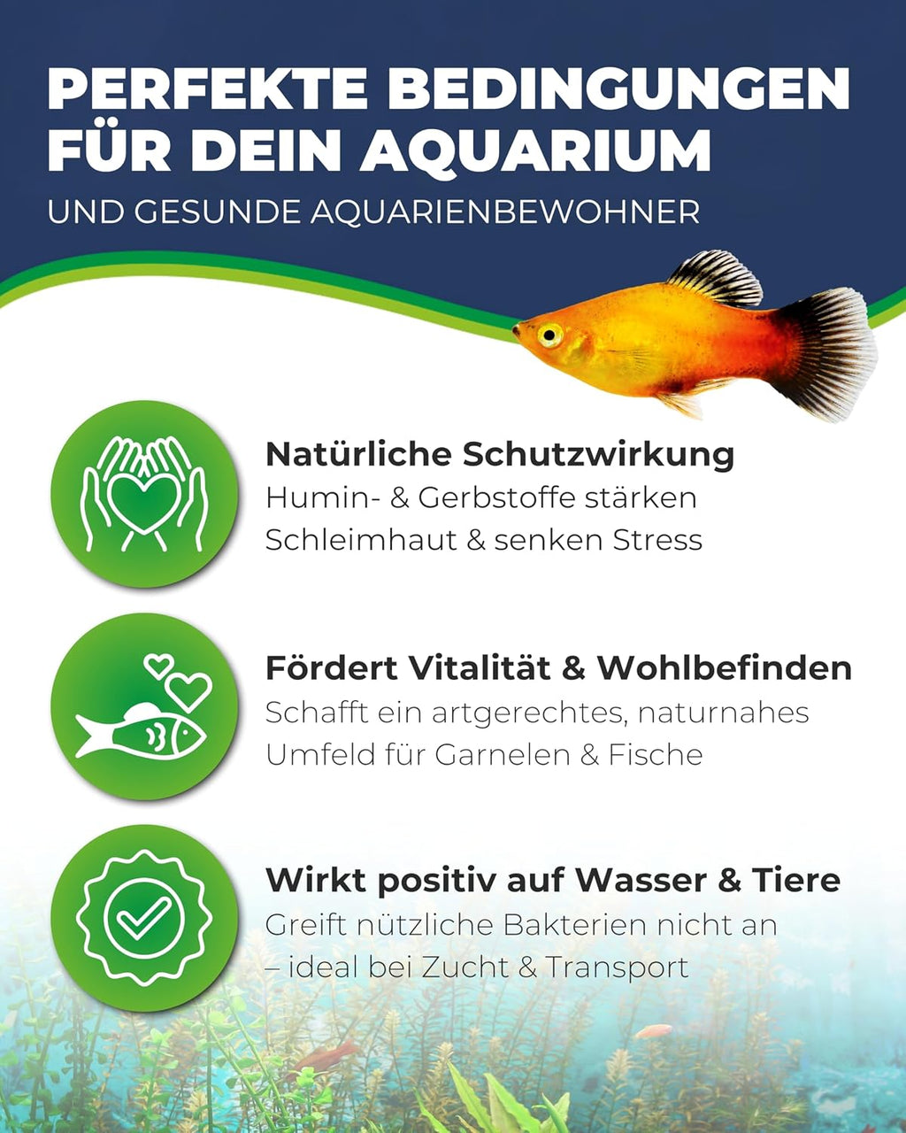 Hobby Catappa Bark Seemandelbaumrinde 12x Aquarium Garnelen Wasserzusatz