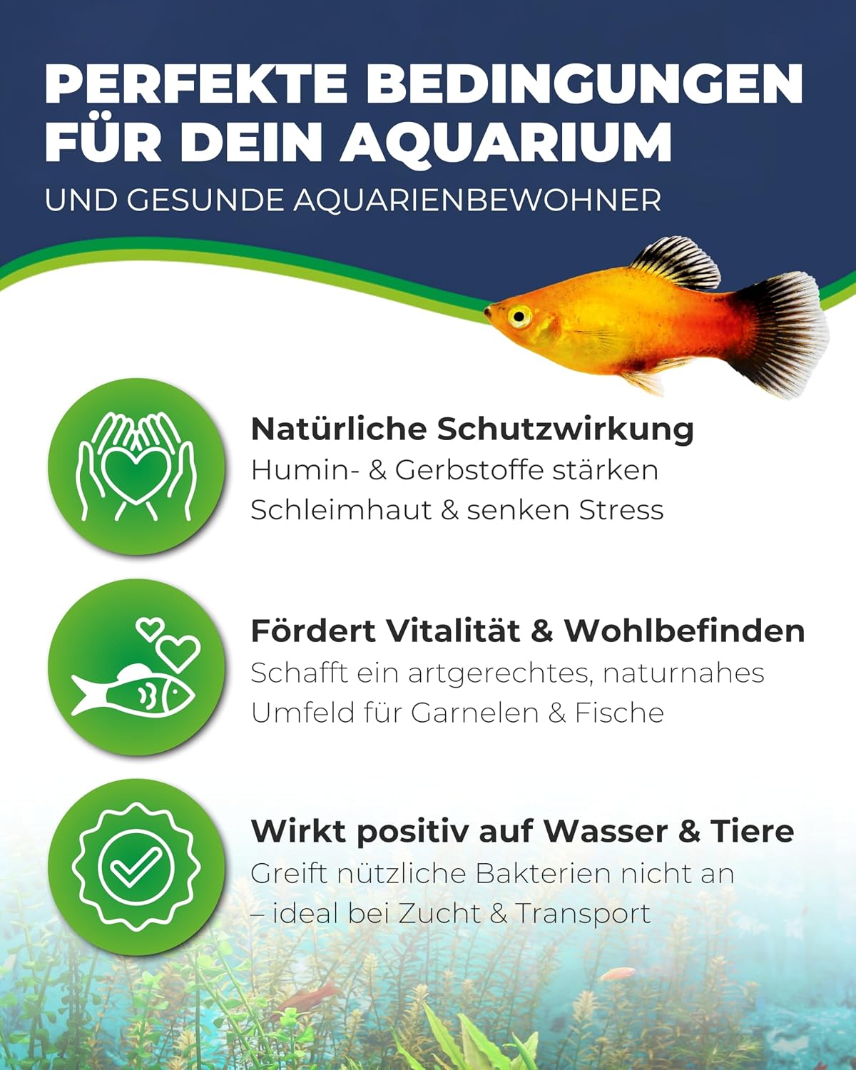 Hobby Catappa Bark Seemandelbaumrinde 12x Aquarium Garnelen Wasserzusatz