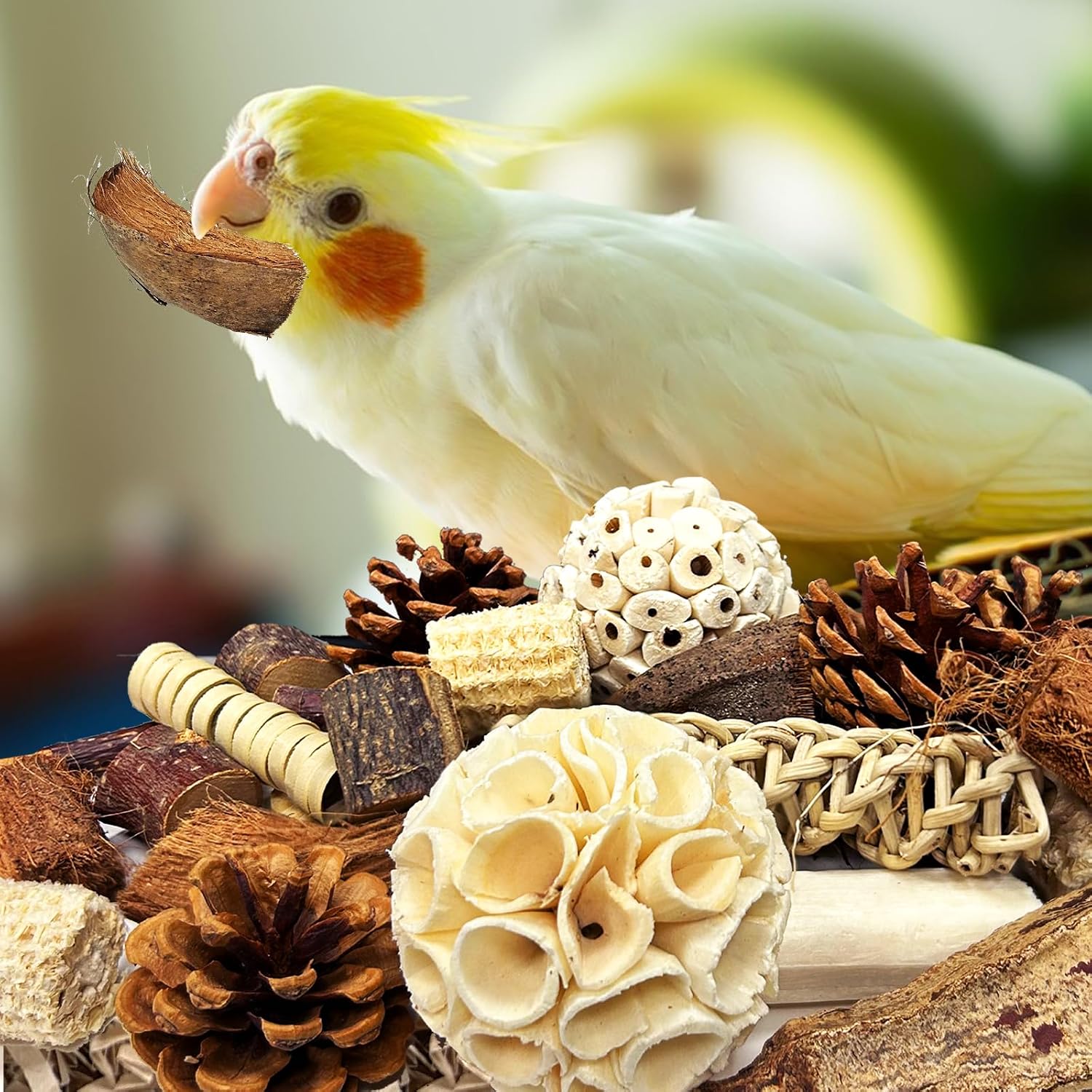 Kauspielzeug Papagei Vogel Käfigzubehör für Wellensittich Nymphensittich