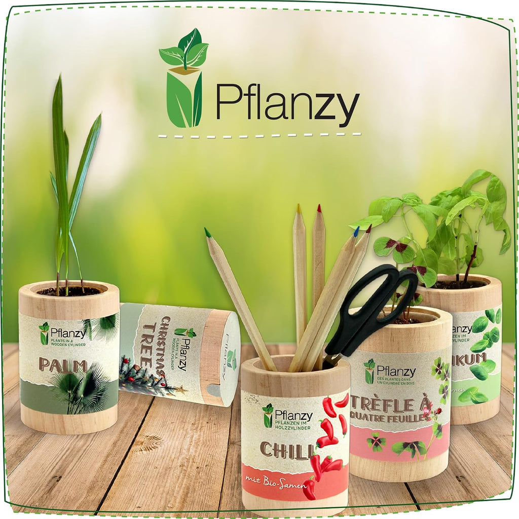 Orchideenbaum Anzuchtset im Holzzylinder Pflanze Geschenkidee