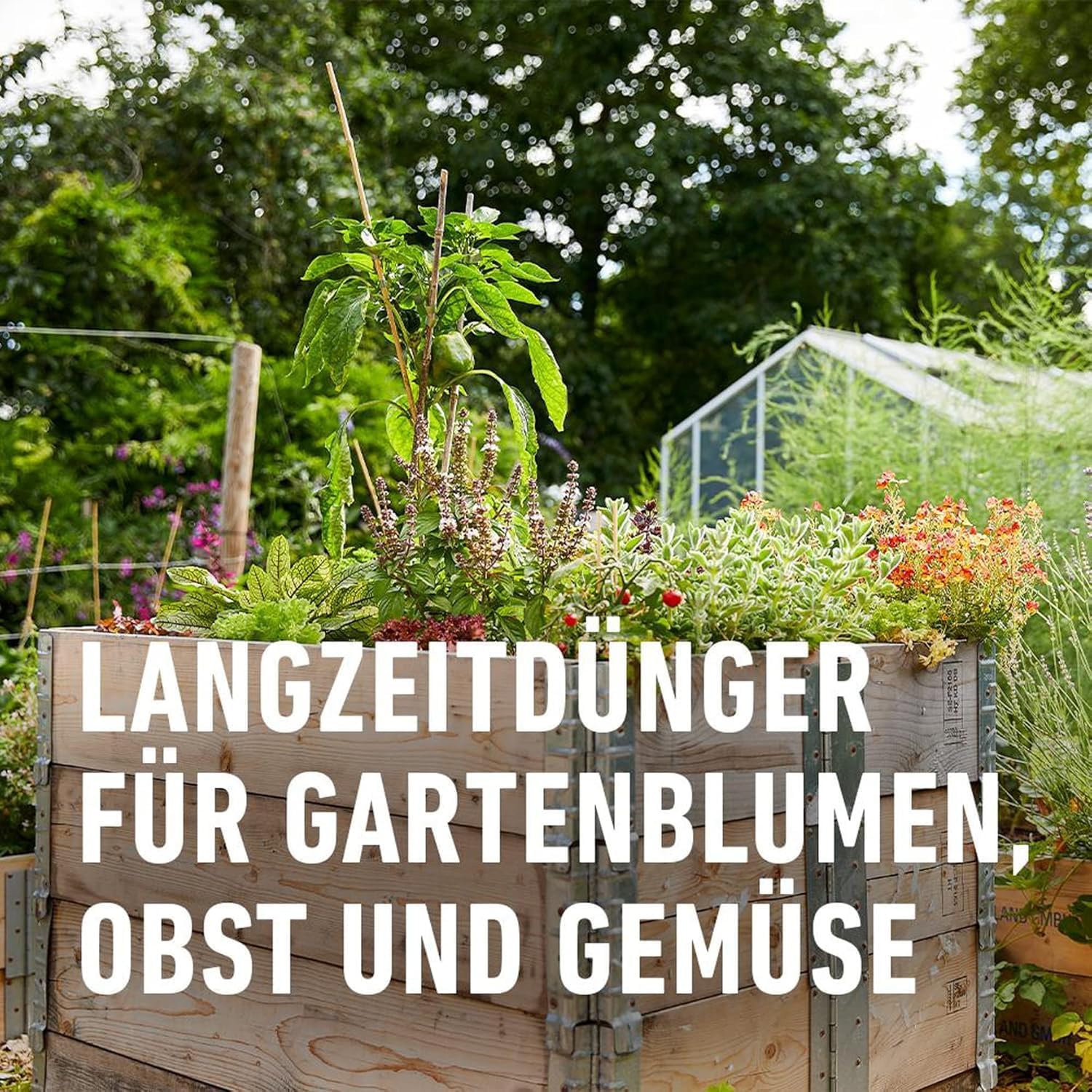 Garten Langzeit-Duenger COMPO verschiedene Sorten fuer Pflanzenpflege