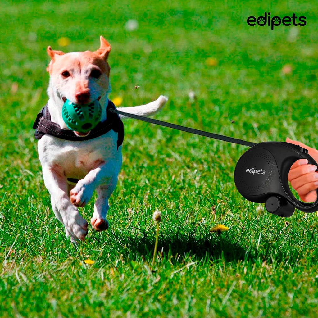 Edipets Hundeleine 5 m ausziehbar Rueckziehbar Training Spaziergang Schwarz