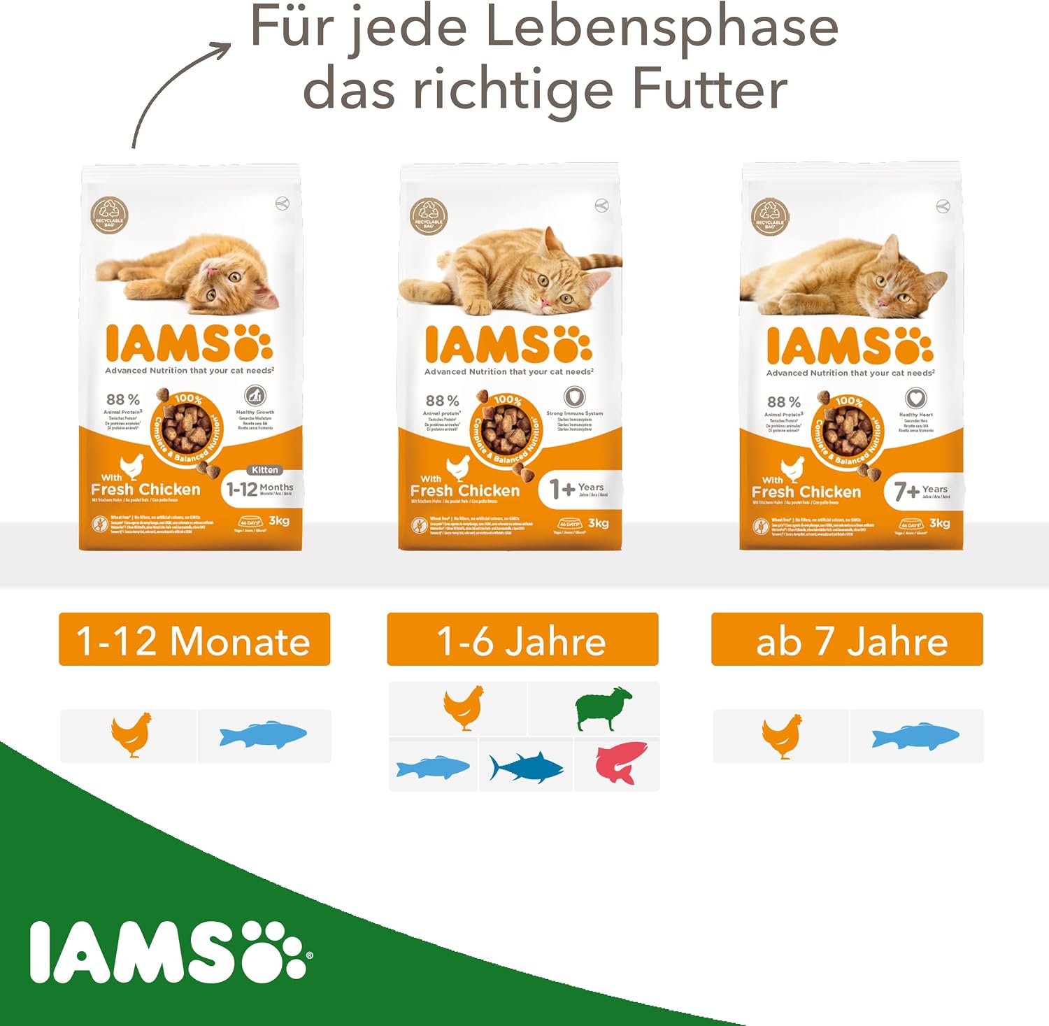 IAMS Katzen Trockenfutter 1,5kg bis 10kg verschiedene Sorten fuer 1-6 Jahre