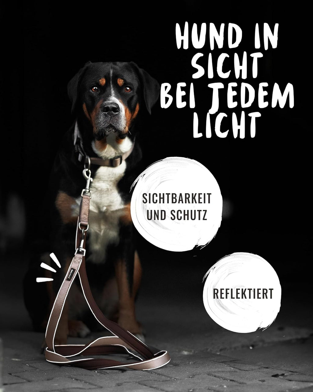 Rudelkoenig Fuehrleine Paola 2,30 m verstellbar reflektierend 1,5cm-2,5cm