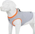 Truelove Hundekuehlweste mit verstellbarem Verschluss, Outdoor, Jagd, Training