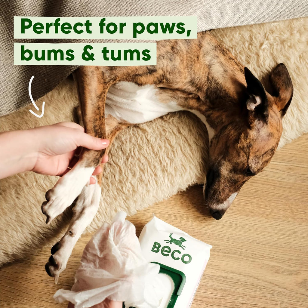 Beco Hundetuecher 4x80 Stueck pflanzlich plastikfrei Pfoten Koerper Po verschiedene