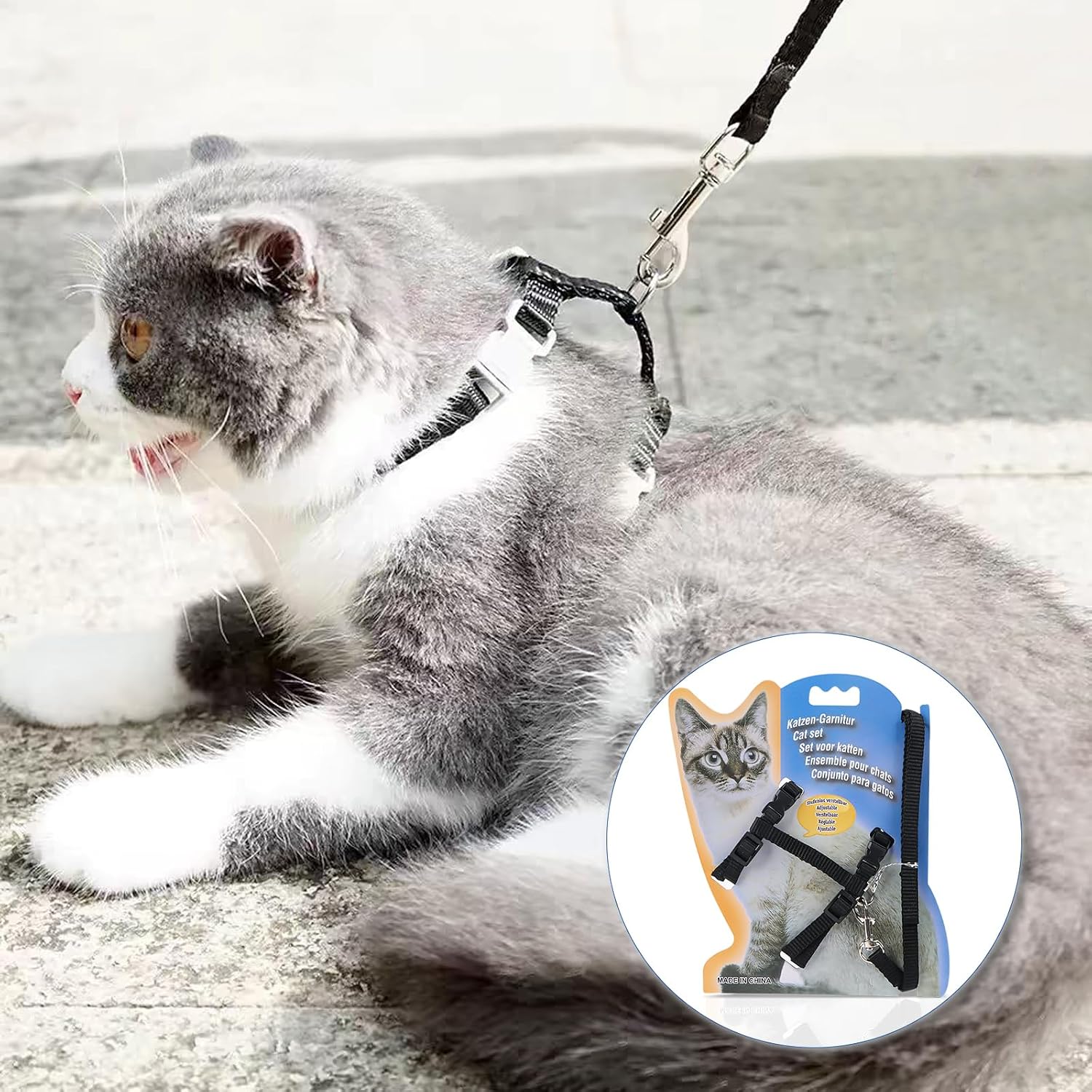 Katzengeschirr verstellbar mit 120 cm Leine ausbruchsicher für Katzen und Kaninc