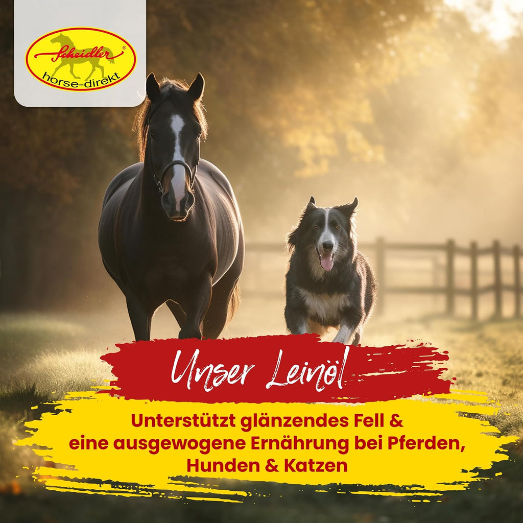 Scheidler Leinöl für Pferd Hund Katze 5 L Omega 3 und 6