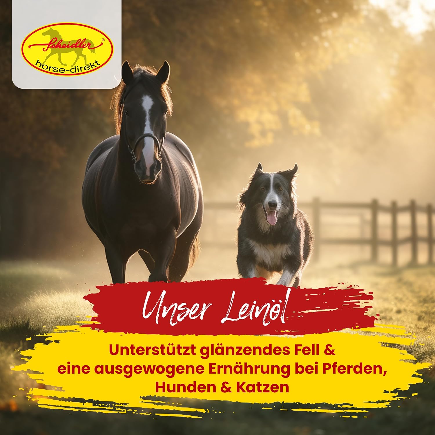 Scheidler Leinöl für Pferd Hund Katze 5 L Omega 3 und 6