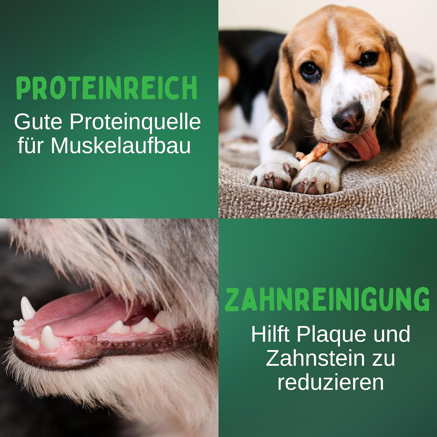 BREERs Rinderkopfhaut Kauartikel 20 cm Hunde verschiedene Sorten