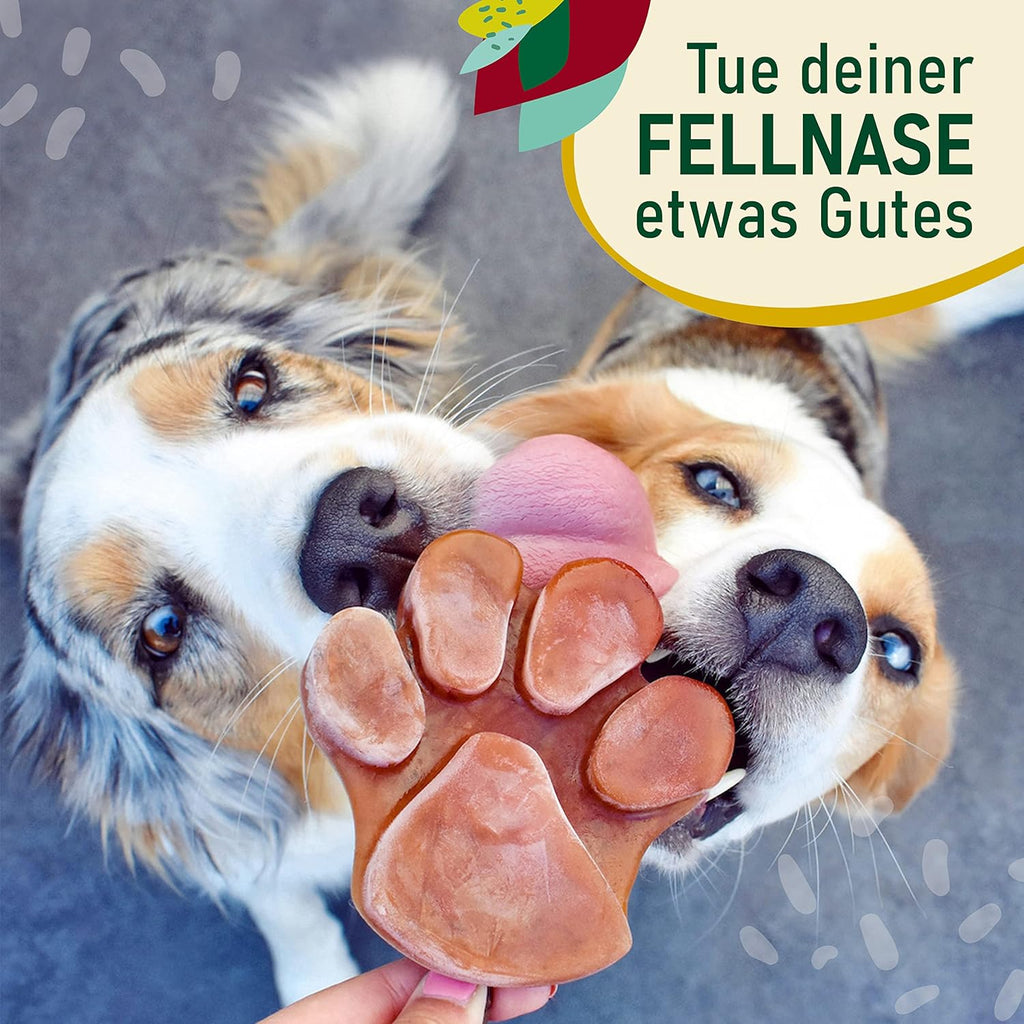 SmoothieDog 6er Mix Probierset 6x250 ml Lamm Rind Huhn fuer Hunde