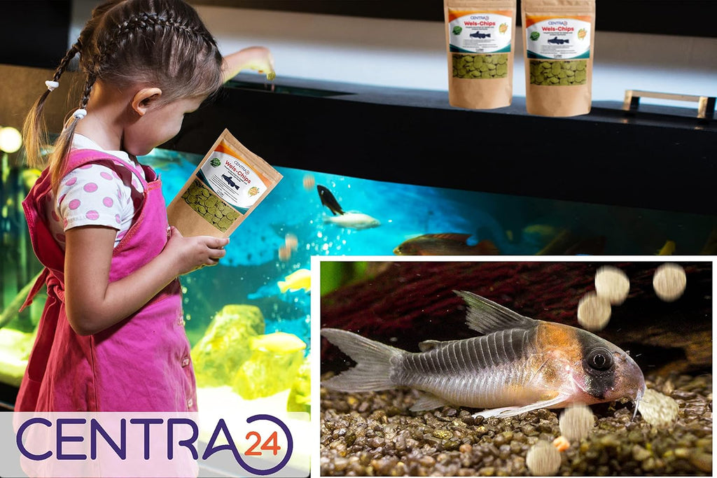 Centra24 Wels-Chips 1 l - Formstabile Wafer mit Spirulina & Vitaminen, Welsfutte