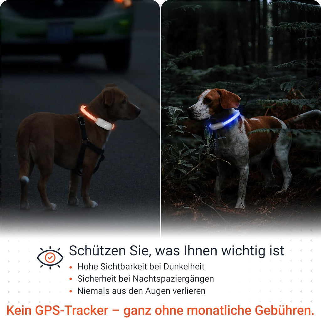 PAJ Light LED Hundehalsband cm verstellbar wasserfest schwarz, 7 Farben