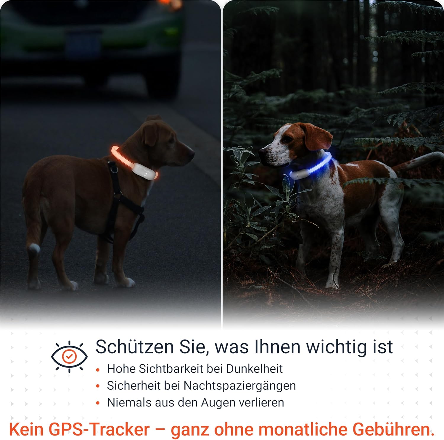 PAJ Light LED Hundehalsband cm verstellbar wasserfest schwarz, 7 Farben