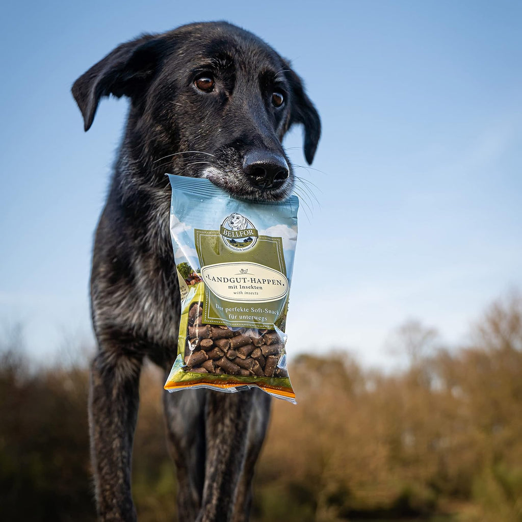 Bellfor Landgut-Happen Insekten - Hypoallergene, getreidefreie Soft-Snacks