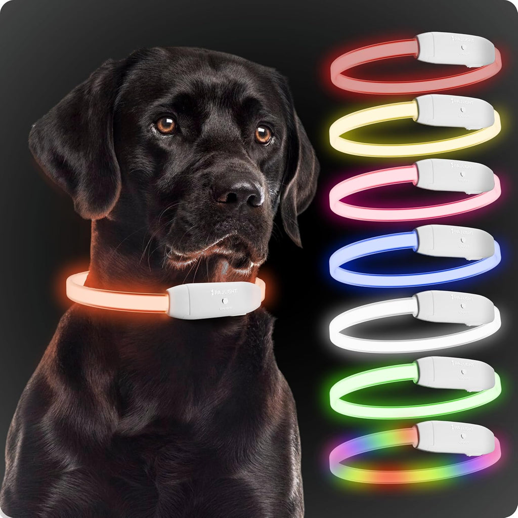 PAJ Light LED Hundehalsband cm verstellbar wasserfest schwarz, 7 Farben